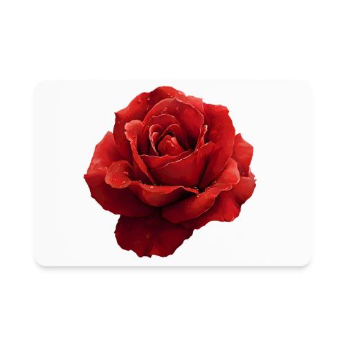 Rose: Crimson Dew Bloom - Rectangle Magnet