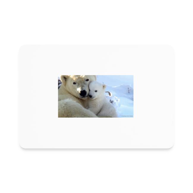 polarbearhug