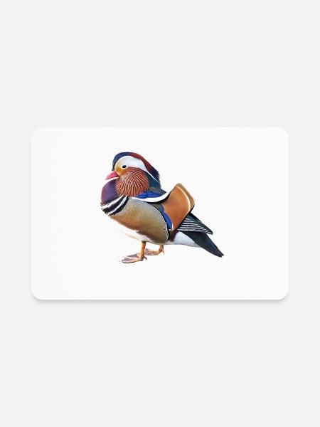 Mandarin Duck Duck Bird Lover Ornithology Ducks - Rectangle Magnet - white - Front