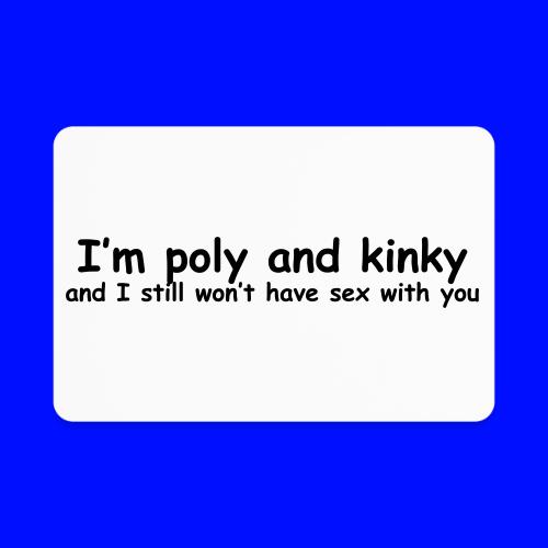 Poly & Kinky - Rectangle Magnet