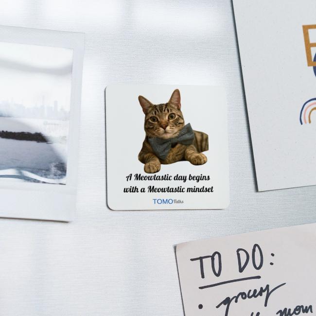 Meowtastic Mindset