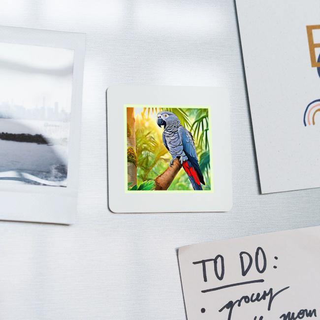 Grey Parrot Perch