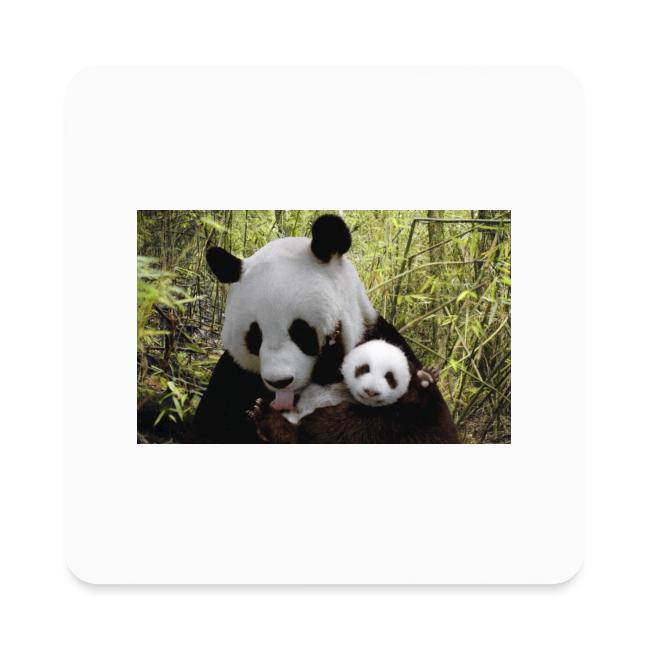 panda