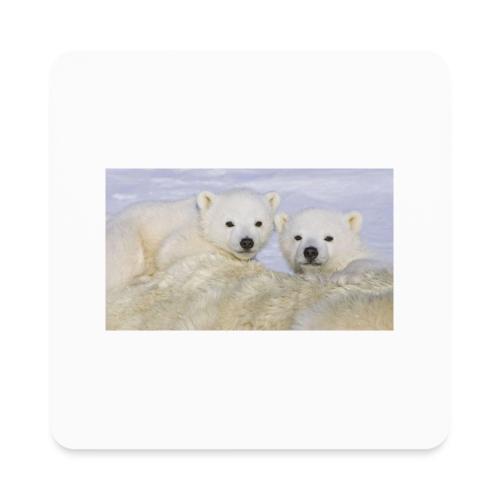 polarbears - Square Magnet