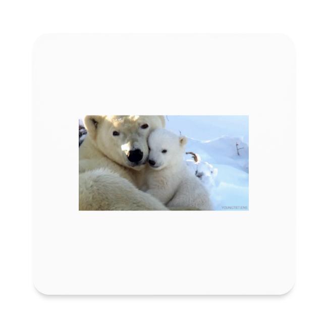 polarbearhug