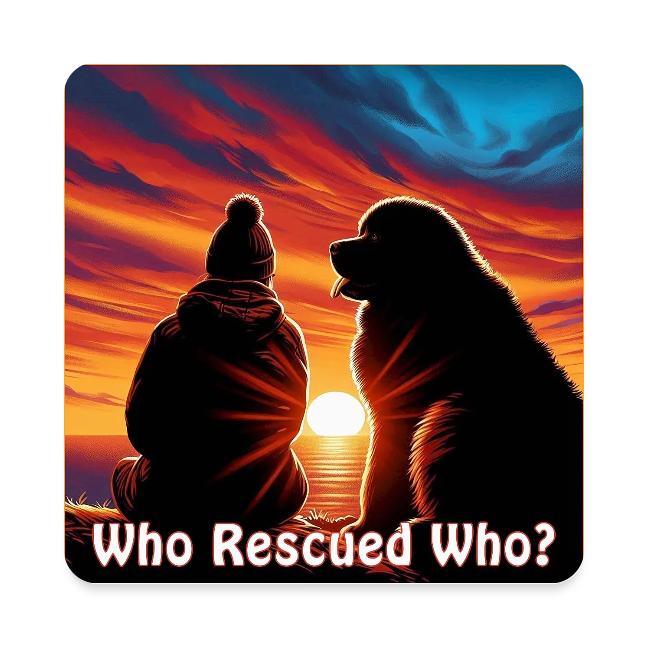 Who Rescued Who- Winter Version