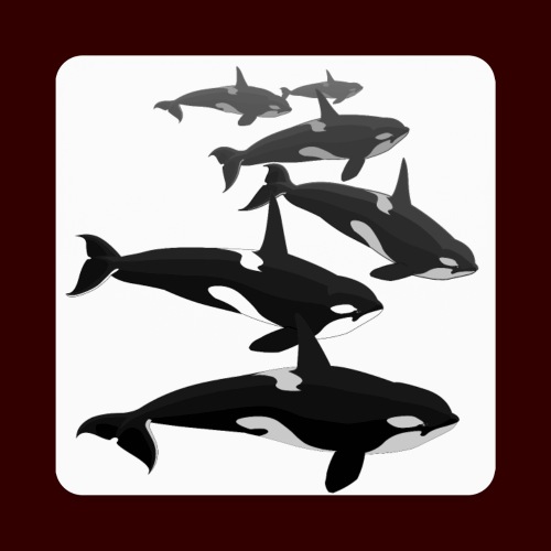 Orca Whale Shirts Killer Whales Gifts - Square Magnet