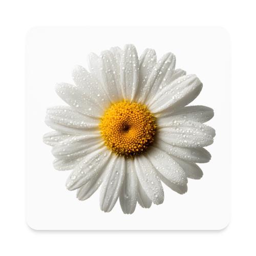 Morning Daisy Freshness - Square Magnet