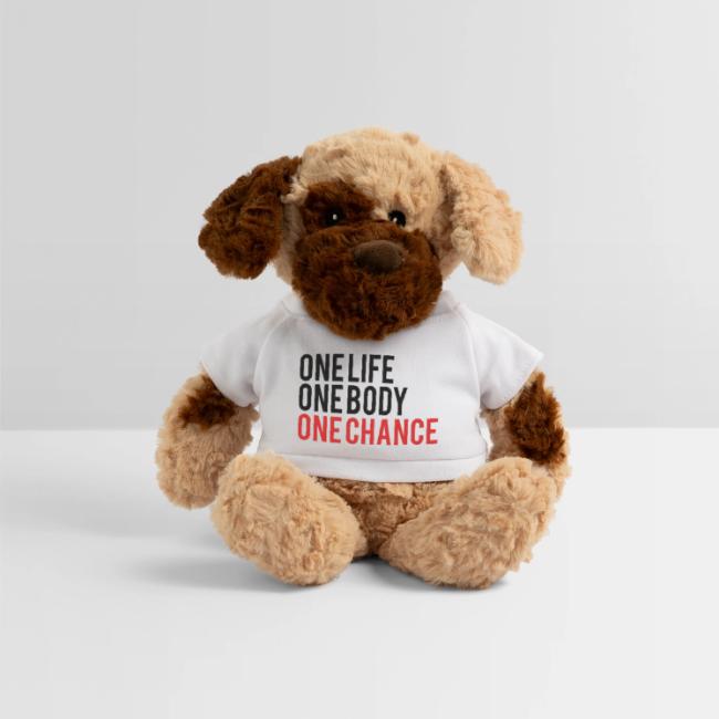 One Life One Body One Chance