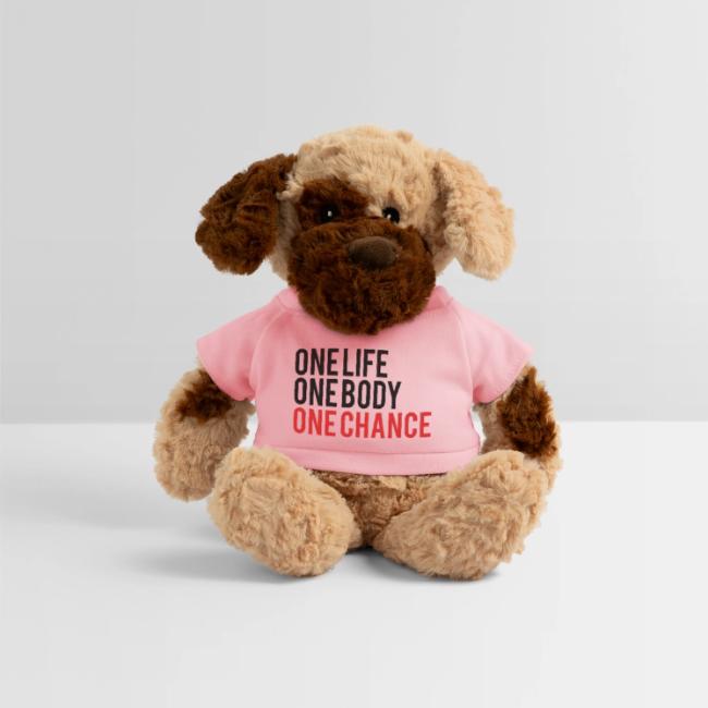 One Life One Body One Chance