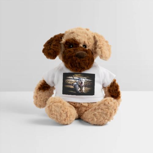 AmericanBulldog (Bug2) - Dog