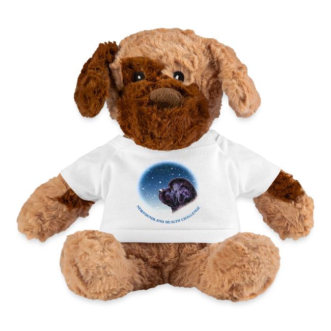 NCA Newfoundland Health Challenge Logo Gear