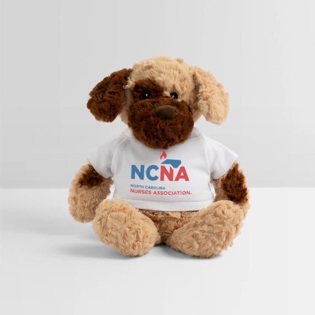 NCNA Logo color lg