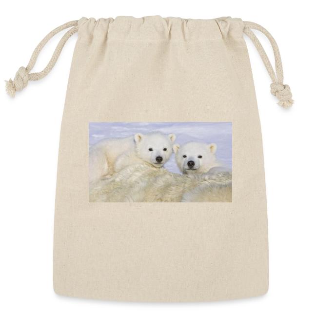 polarbears