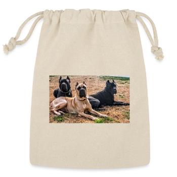 Trio of Guard Dogs Resting - Reusable Gift Bag - Natural - Front