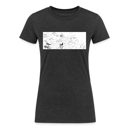 Aircraft - Women's Tri-Blend Organic T-Shirt