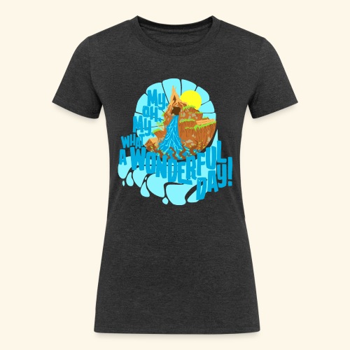 splashMT2 - Women's Tri-Blend Organic T-Shirt