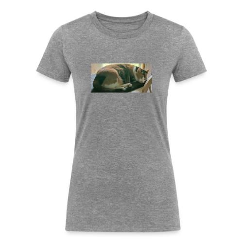 Cat Naps - Women's Tri-Blend Organic T-Shirt