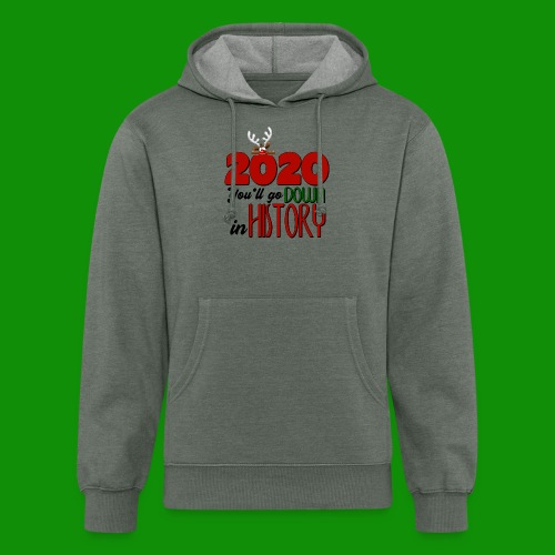 2020 You'll Go Down in History - Unisex Organic Hoodie