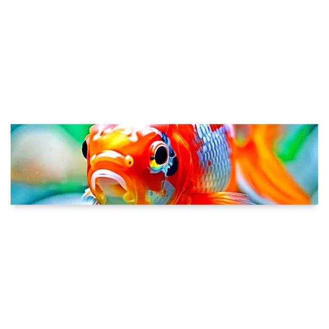 Elegant Aquarium Pet Fish
