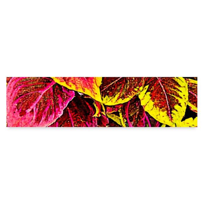 Coleus Leaf Burst Design