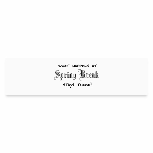 Spring Break 2019 Shirt Gift idea - Bumper Sticker