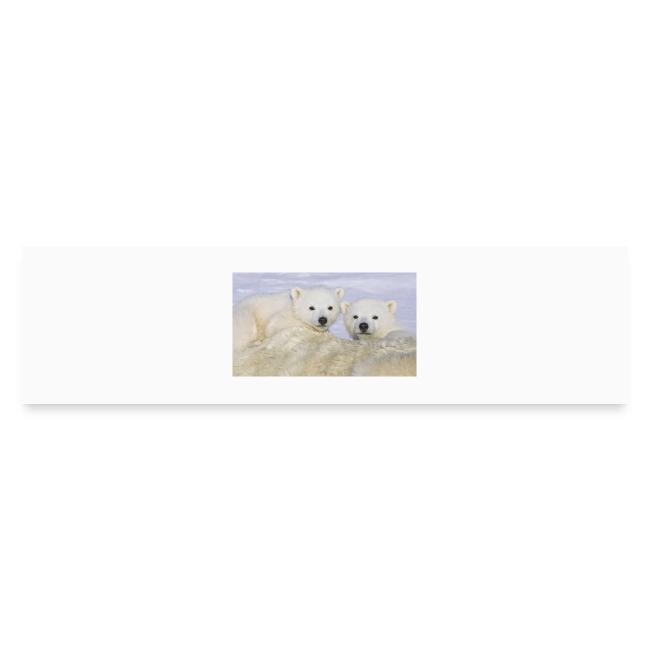 polarbears