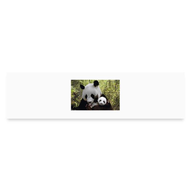 panda