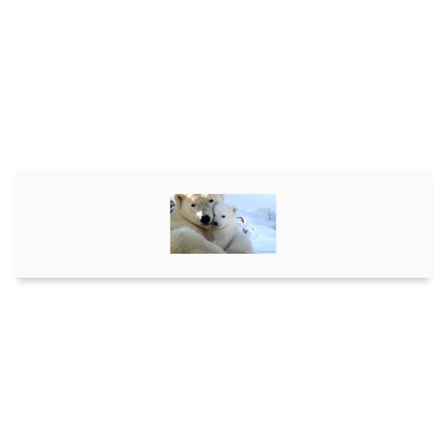 polarbearhug