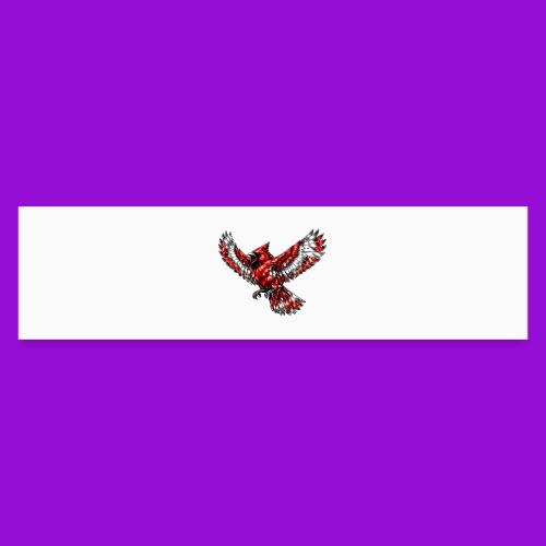 Cardinal in Flight - Bumper Sticker