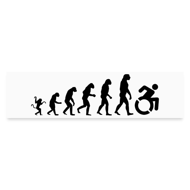 Evolution Wheelchairs for wheelchair users, apes *