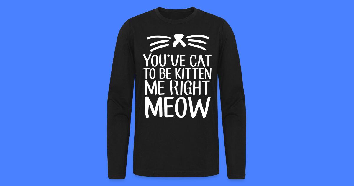 Stay Fly Clothing Youve Cat To Be Kitten Me Right Meow Mens Long Sleeve T Shirt By Next Level