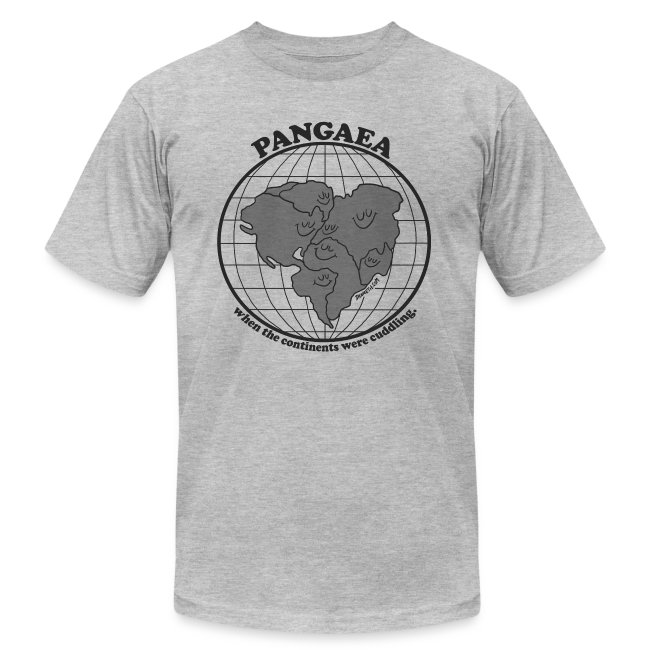 Pangaea Grey by Dan Meth