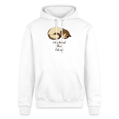 I Was Normal Three Cats Ago Funny Cat T-Shirt - Champion Unisex Powerblend Hoodie
