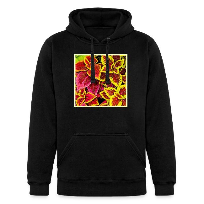Coleus Leaf Burst Design