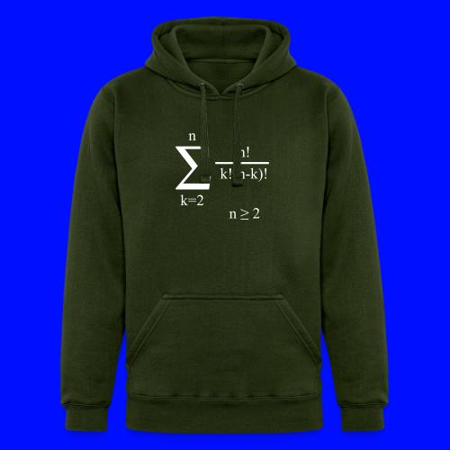 Poly Formula (white) - Unisex Heavyweight Hoodie