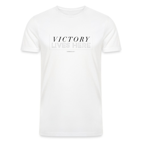 victory shirt 2019 - Men’s Tri-Blend Organic T-Shirt