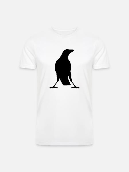 Raven - Men’s Tri-Blend Organic T-Shirt - white