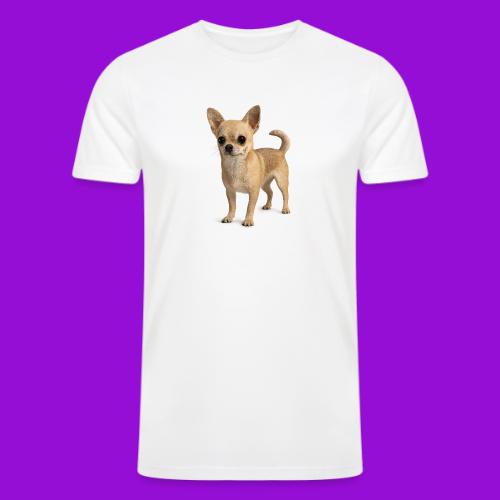 Chihuahua - Men’s Tri-Blend Organic T-Shirt