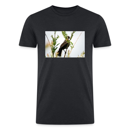 bird tree - Men’s Tri-Blend Organic T-Shirt