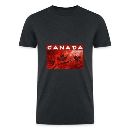 Art of Canada - Men’s Tri-Blend Organic T-Shirt