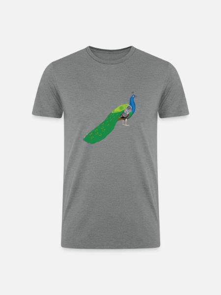 Peacock - Men’s Tri-Blend Organic T-Shirt - heather gray