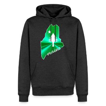 Pine tree and star 1901 flag of Maine State - Men's Premium Hoodie - heather anthracite - Front - Thijin (182cm) & Raik (115cm)