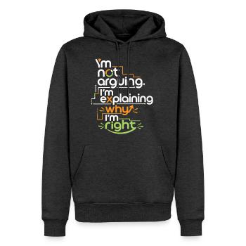 I'm Always Right Funny Sarcastic Saying Shirt - Men's Premium Hoodie - heather anthracite - Front - Thijin (182cm) & Raik (115cm)