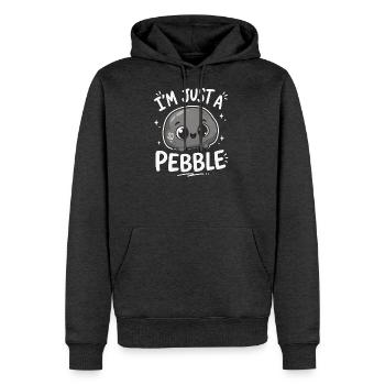 Chemise de jeu Pebble Pretty - Molleton à capuche Premium pour homme - anthracite chiné - Devant - Thijin (182cm) & Raik (115cm)