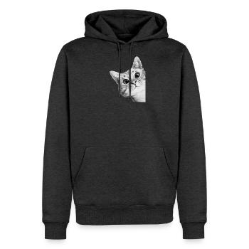 Curious Kitten Mono Sketch - Men's Premium Hoodie - heather anthracite - Front - Thijin (182cm) & Raik (115cm)