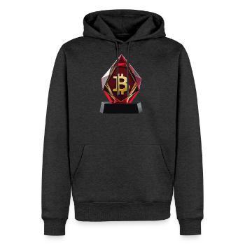 Bitcoin Gemstone Award - Elegance - Men's Premium Hoodie - heather anthracite - Front - Thijin (182cm) & Raik (115cm)
