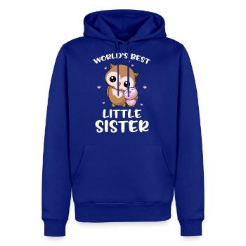 World s Best Little Sister Cute Owl Owls Siblings - Men's Premium Hoodie - royal blue - Front