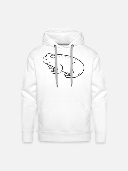 Cute Frog - Men's Premium Hoodie - white