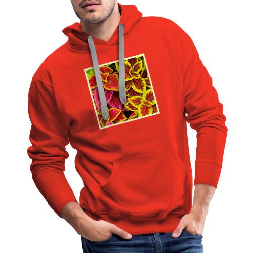 Coleus Leaf Burst Design - Men's Premium Hoodie